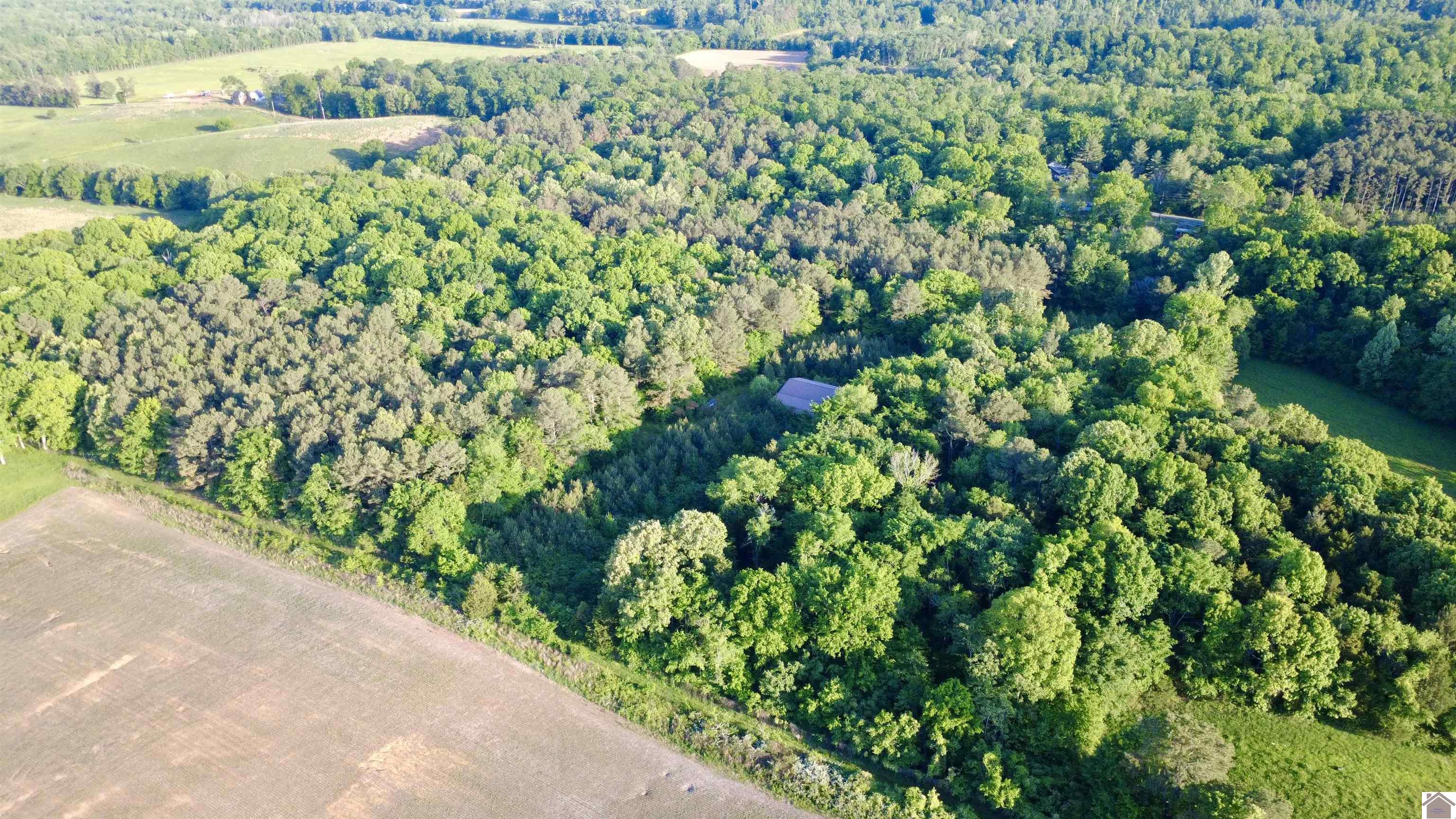 4436 shoemaker rd, Hazel, KY 42049 Listing Photo  28