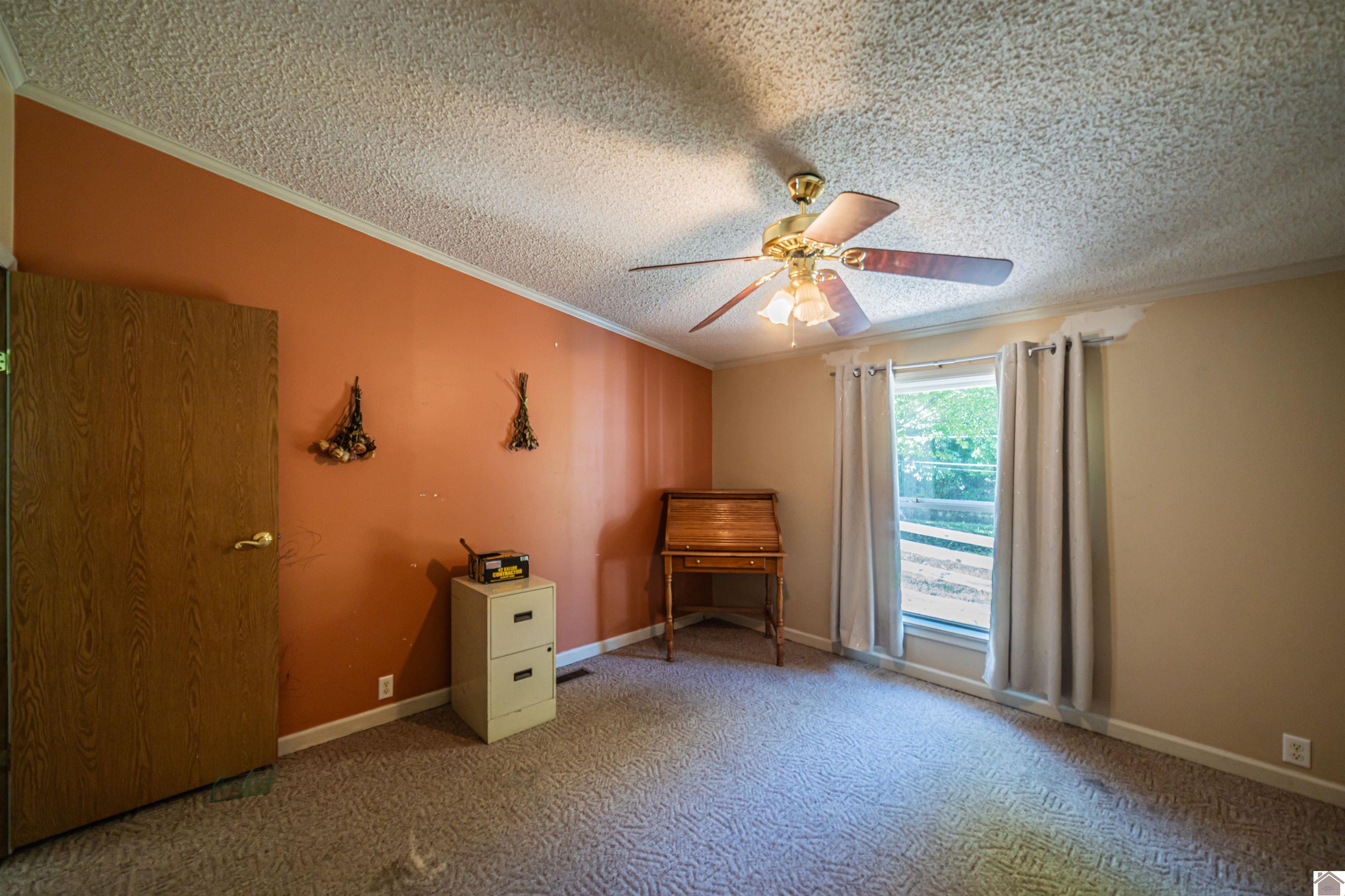 4810 I C Avenue, Paducah, KY 42001 Listing Photo  20