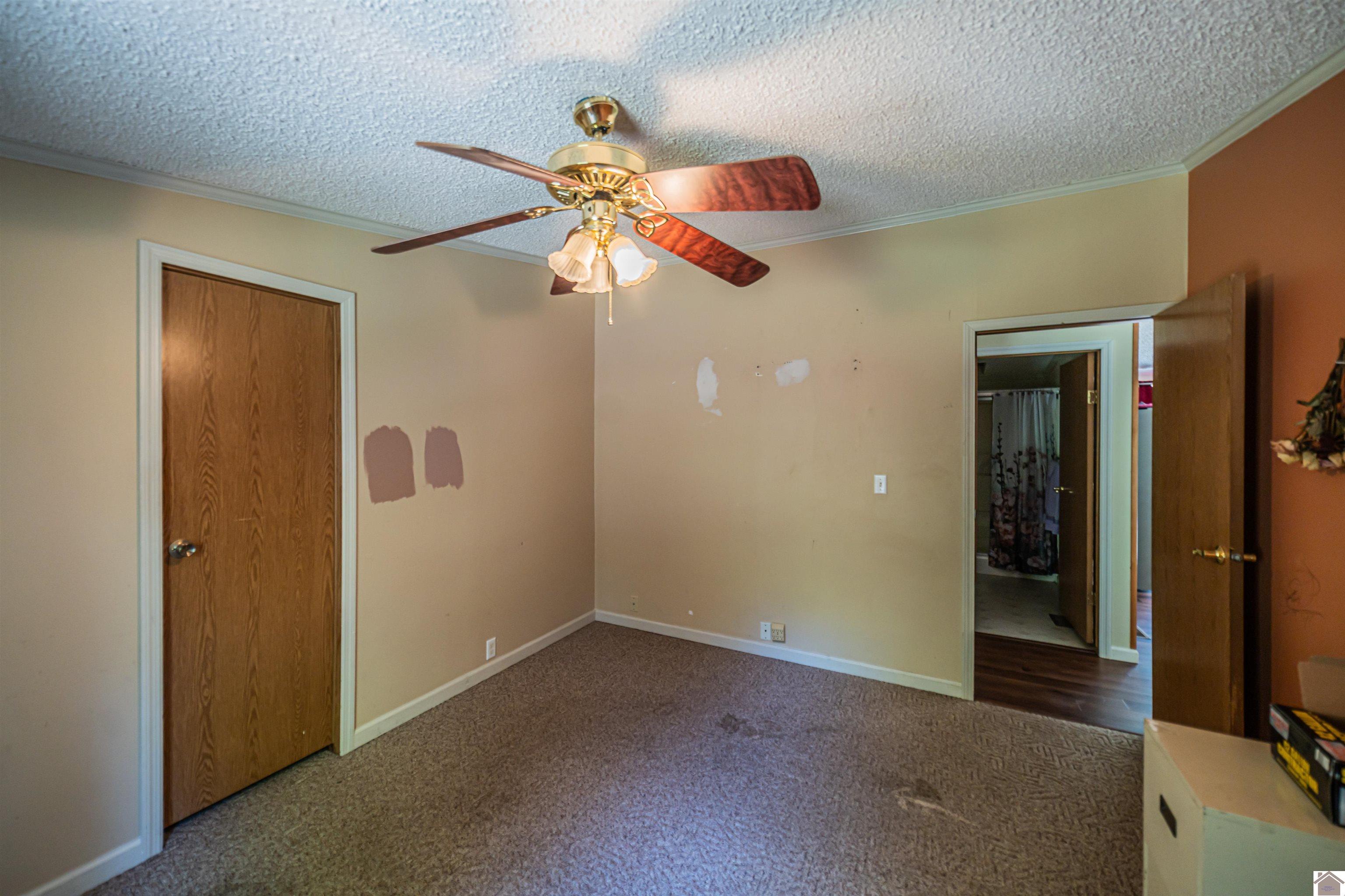 4810 I C Avenue, Paducah, KY 42001 Listing Photo  22