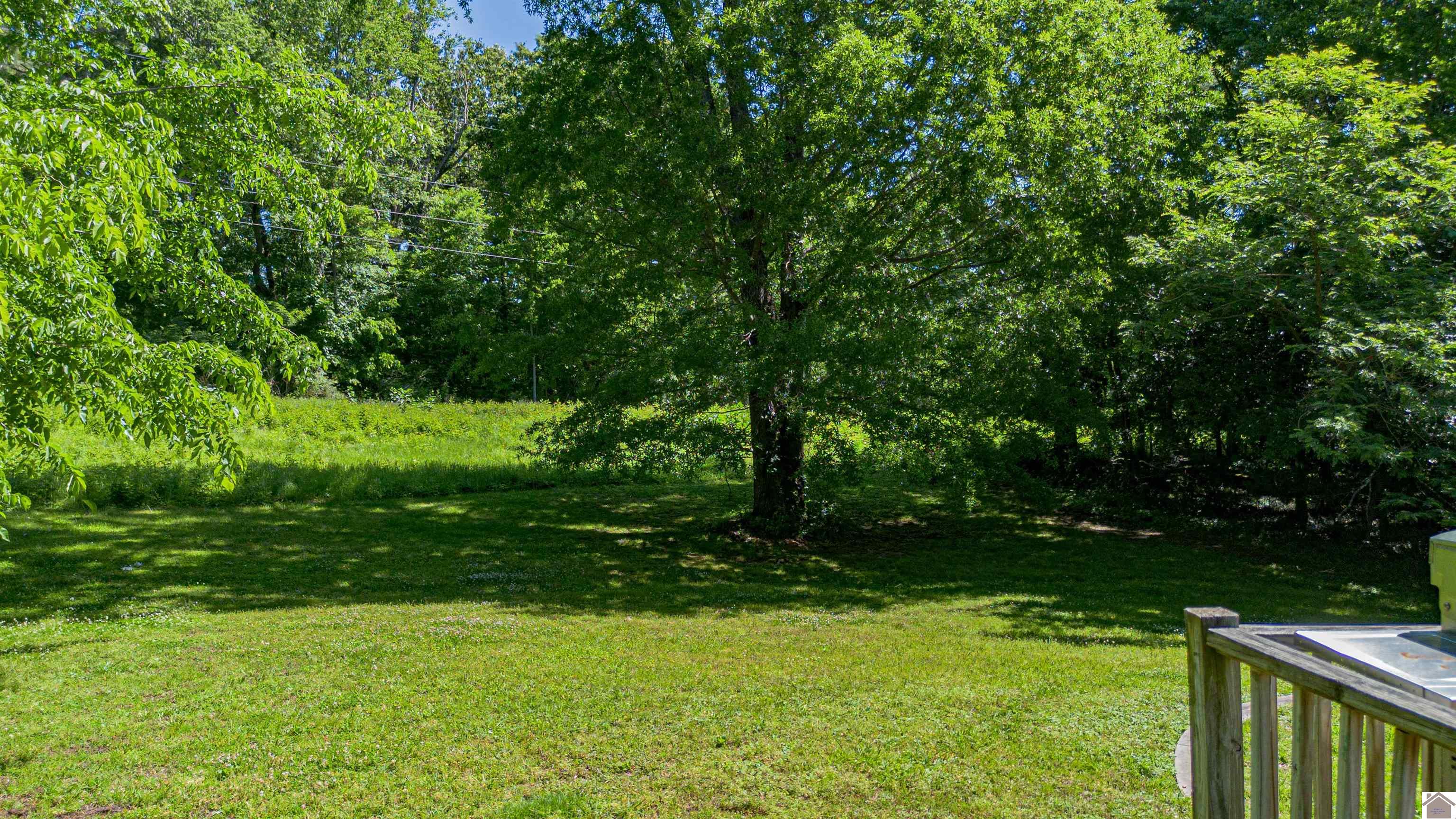 4810 I C Avenue, Paducah, KY 42001 Listing Photo  42