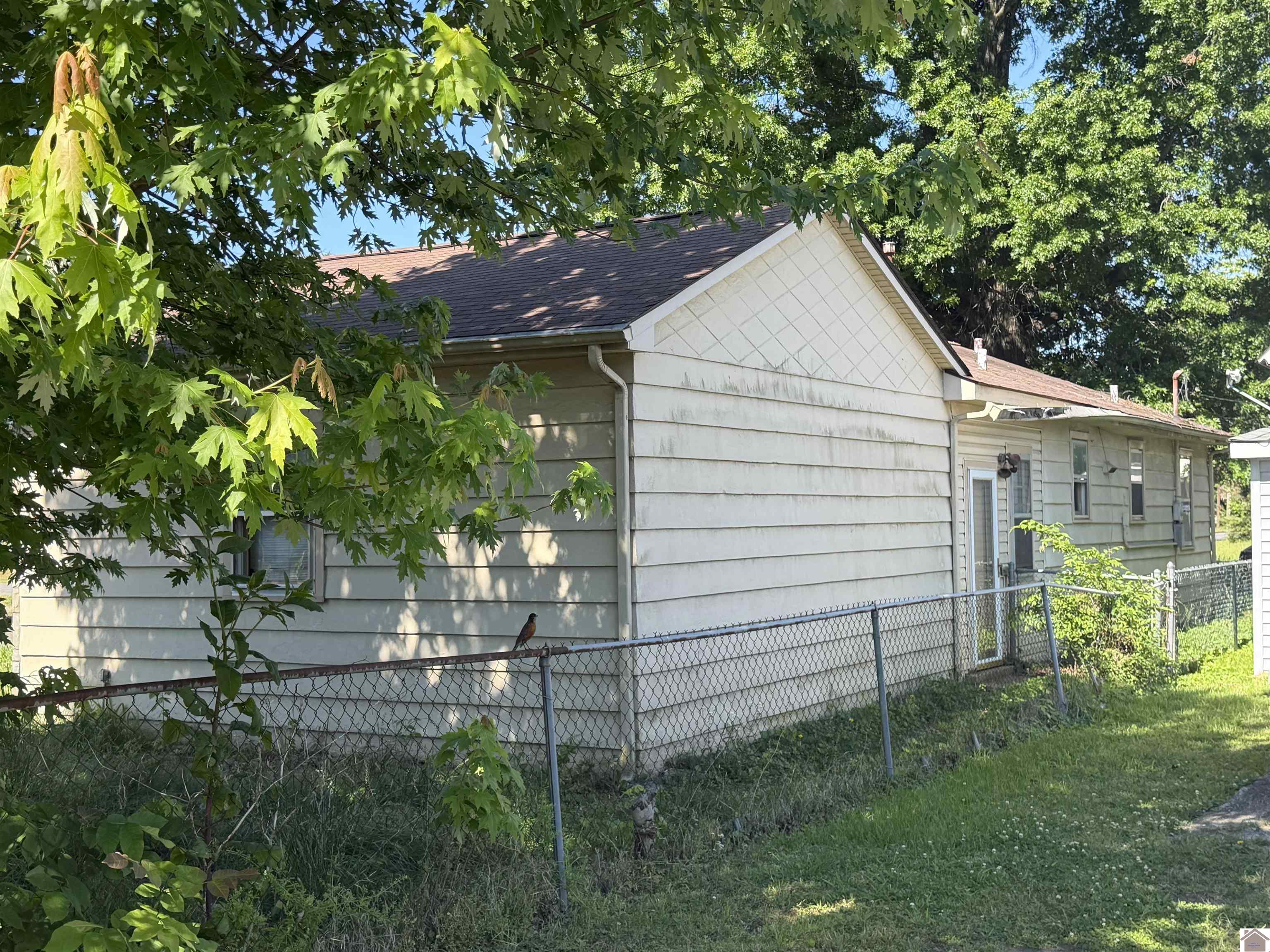 1332 N. 13th Street, Paducah, KY 42001 Listing Photo  5