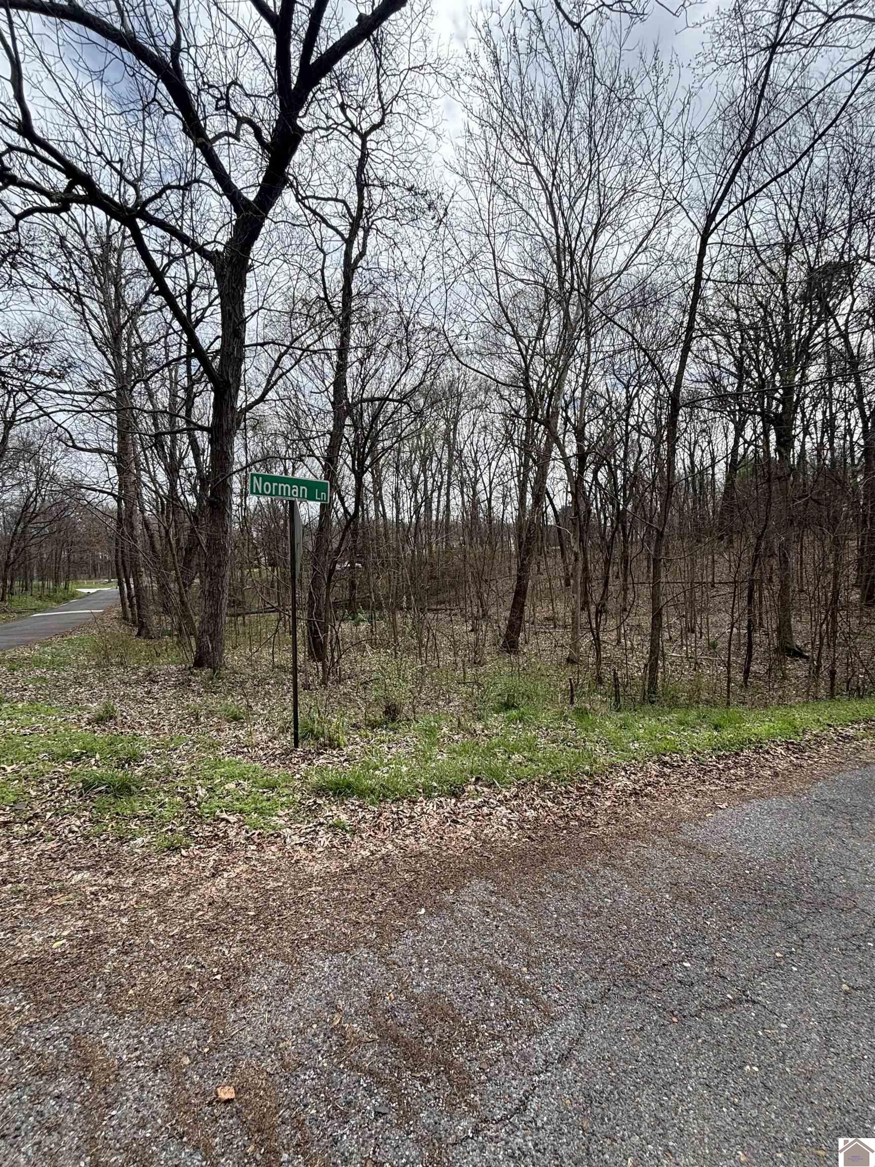 Lot 23 Norman Ln, Mayfield, KY 42066 Listing Photo  1