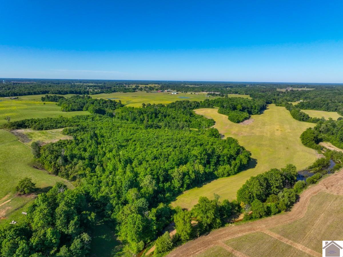 000 Slaughter Road, Benton, KY 42025 Listing Photo  1