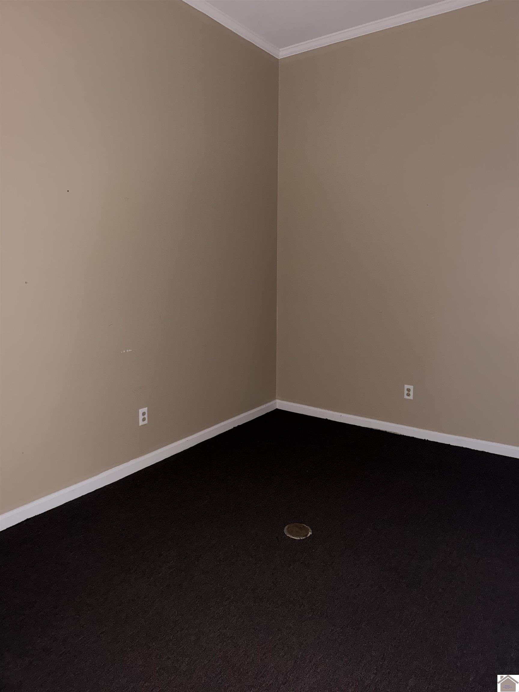 2830 Lone Oak Road, Paducah, KY 42001 Listing Photo  13