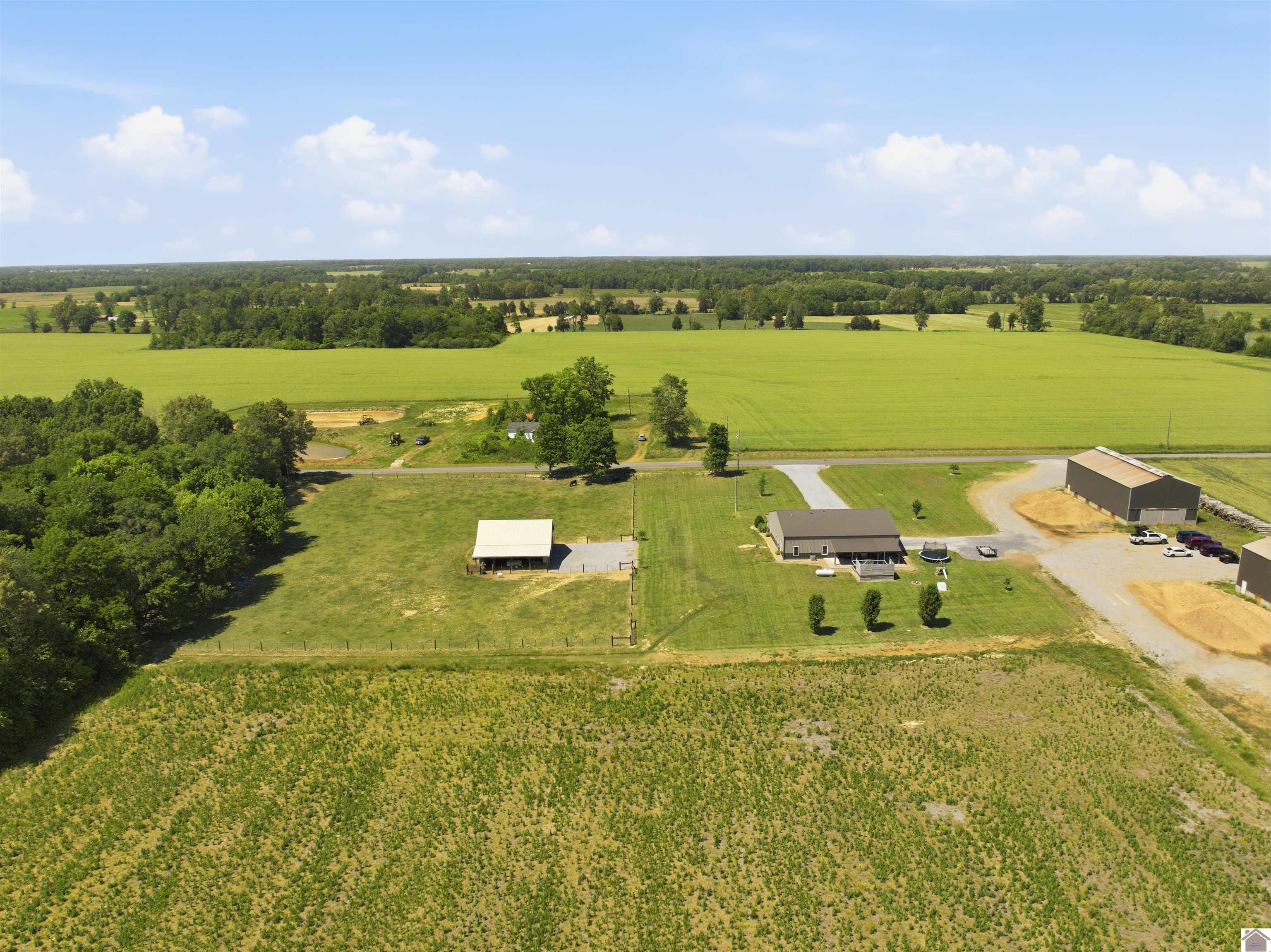 1633 Burnetts Chapel Rd., Farmington, KY 42040 Listing Photo  40