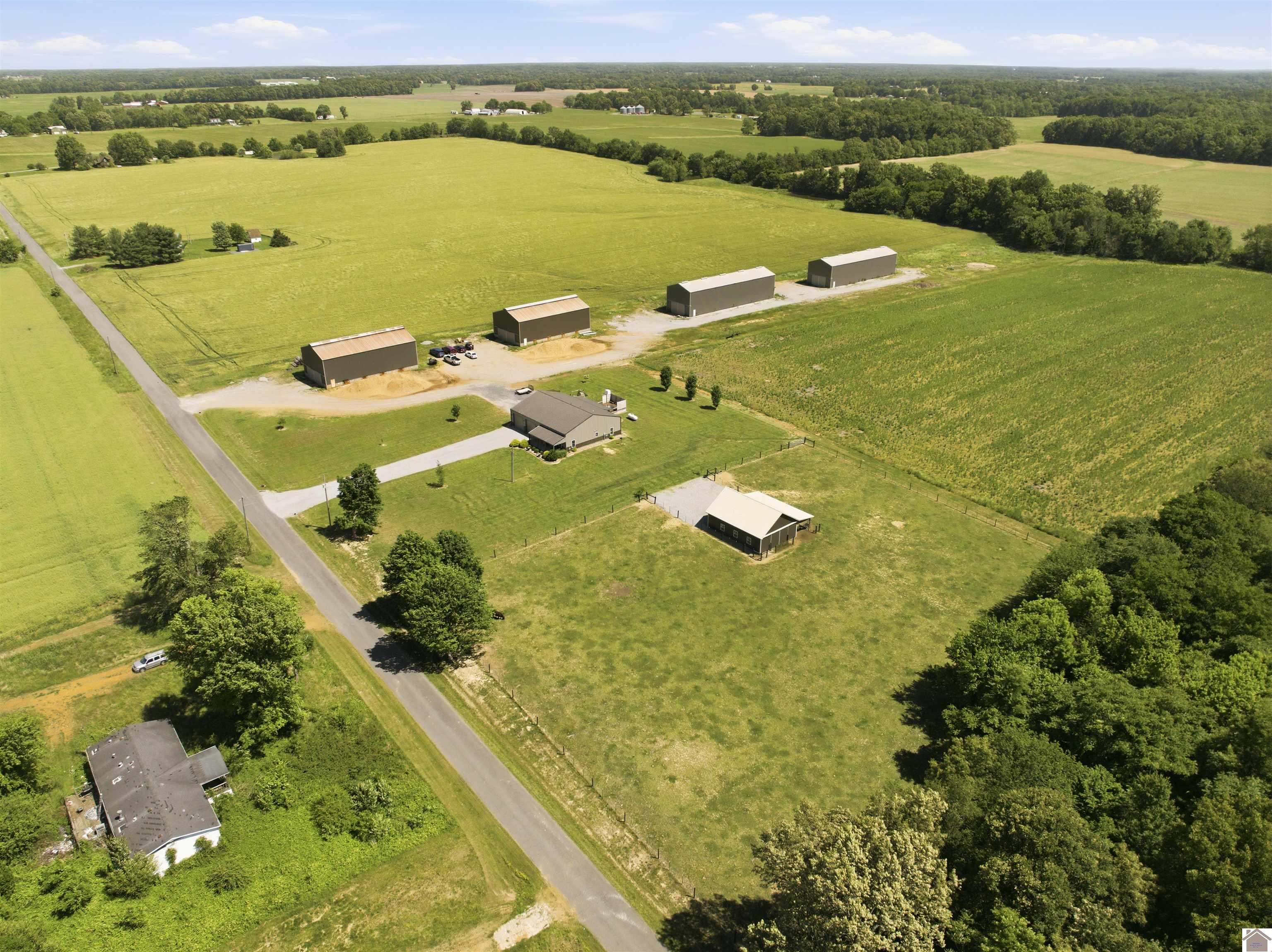 1633 Burnetts Chapel Rd., Farmington, KY 42040 Listing Photo  41