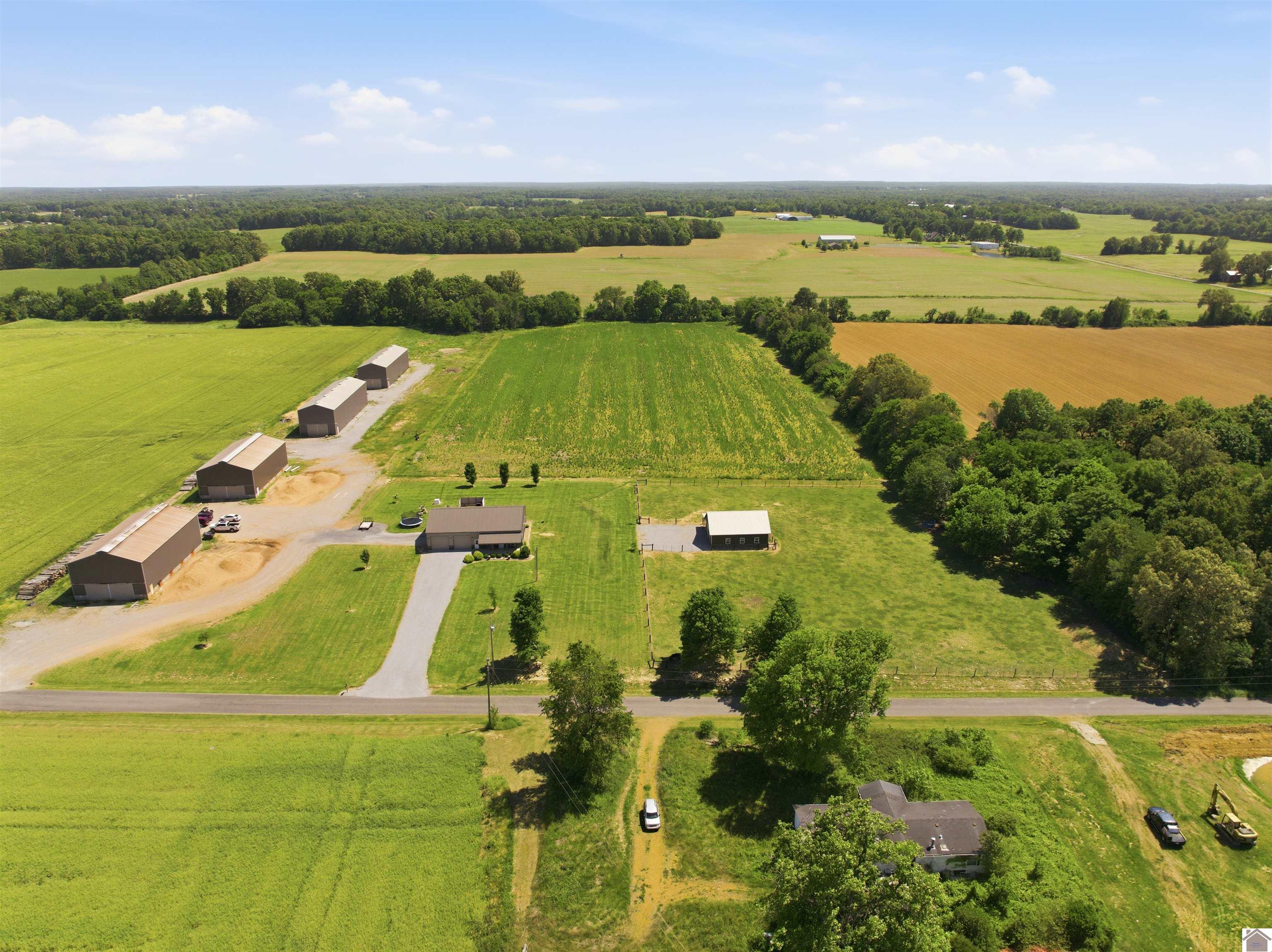 1633 Burnetts Chapel Rd., Farmington, KY 42040 Listing Photo  43