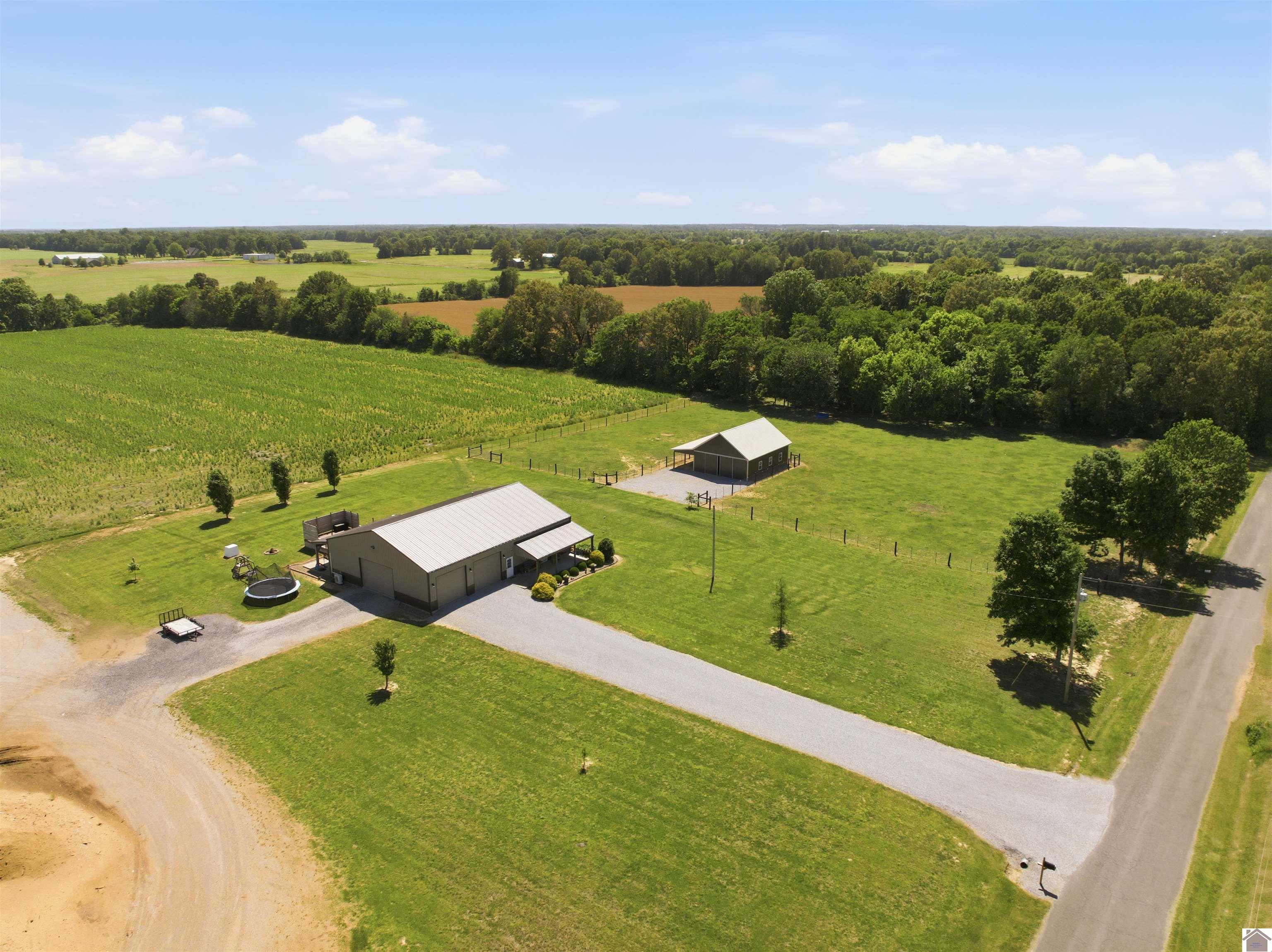 1633 Burnetts Chapel Rd., Farmington, KY 42040 Listing Photo  45