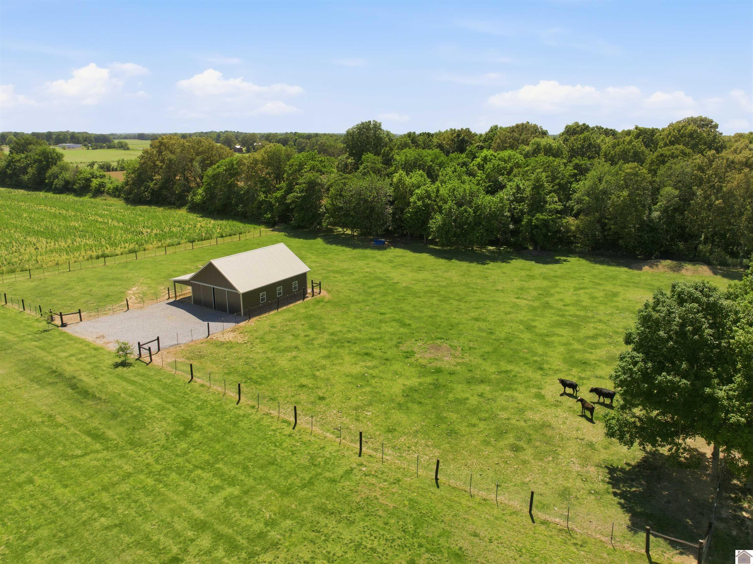 1633 Burnetts Chapel Rd., Farmington, KY 42040 Listing Photo  46