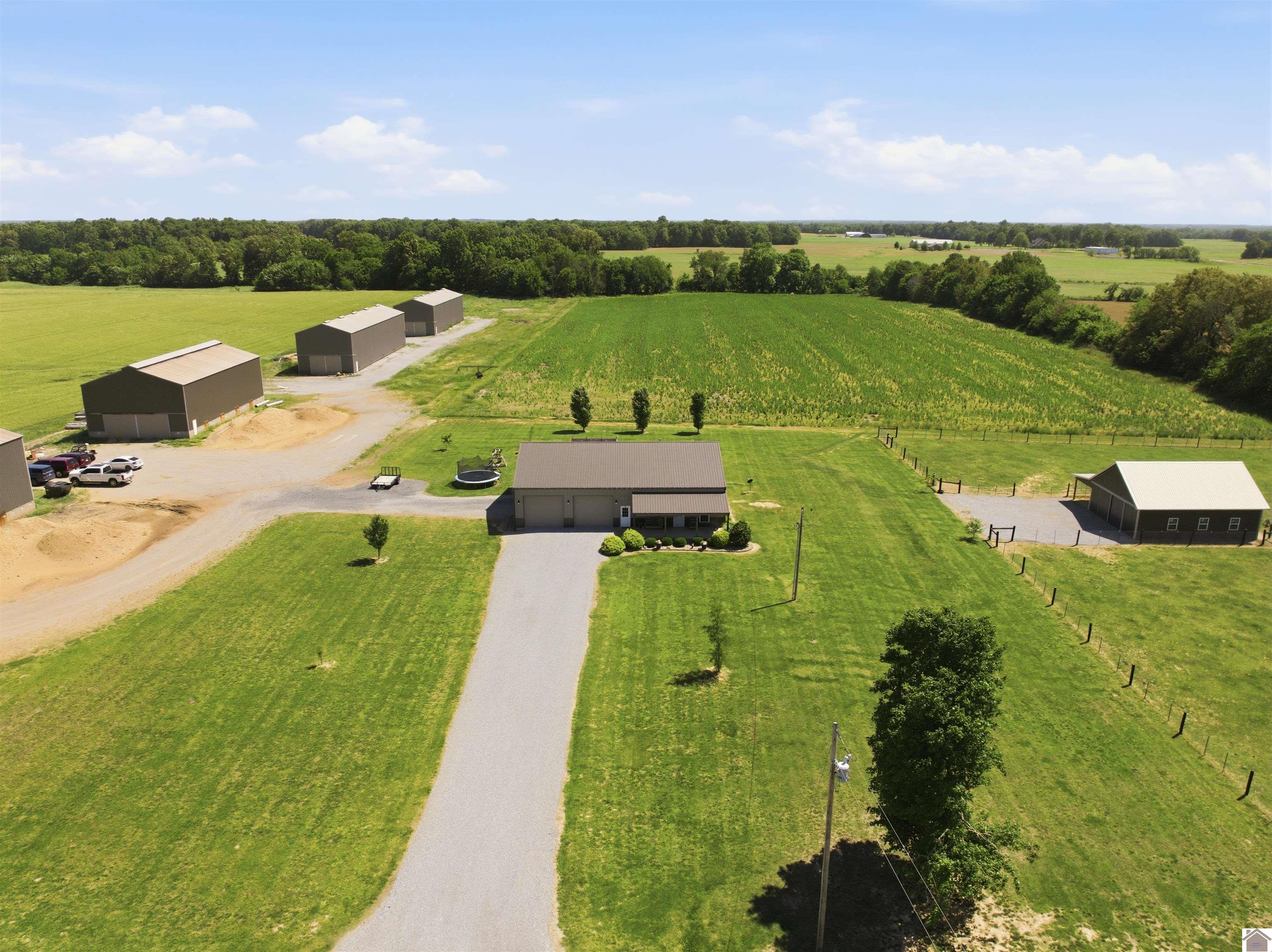 1633 Burnetts Chapel Rd., Farmington, KY 42040 Listing Photo  47