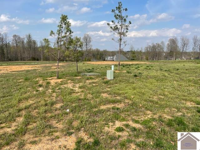 230 Falling Brook Dr, Paducah, KY 42003 Listing Photo  2