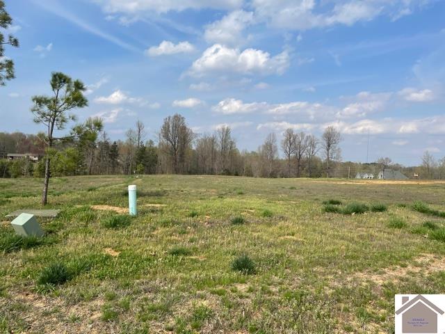 230 Falling Brook Dr, Paducah, KY 42003 Listing Photo  4