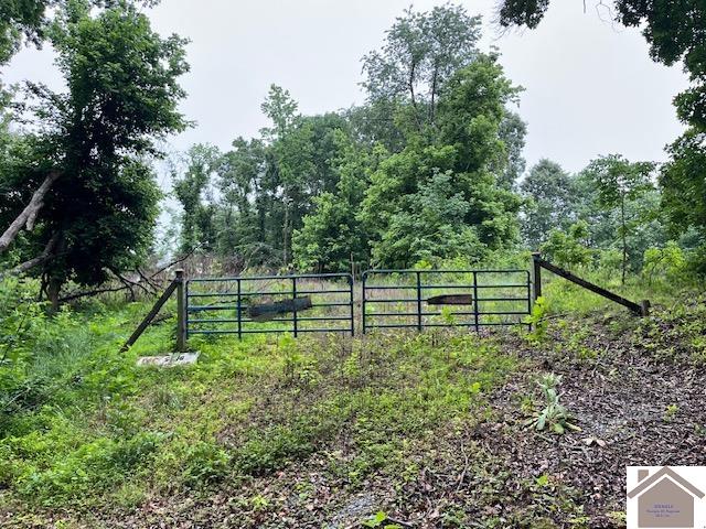 449 Baker Lane, Cadiz, KY 42211 Listing Photo  1