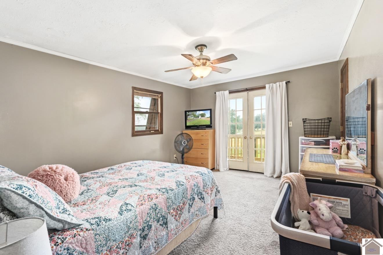 12237 hwy 62, Cunningham, KY 42035 Listing Photo  19