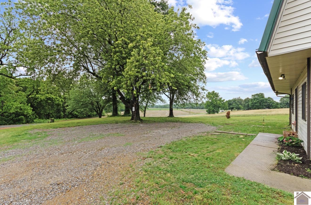 12237 hwy 62, Cunningham, KY 42035 Listing Photo  3