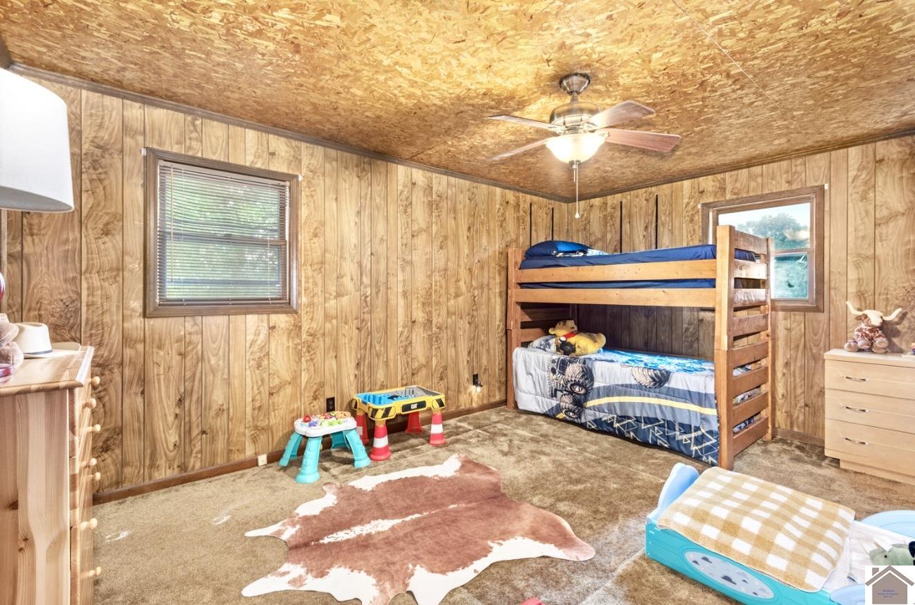 12237 hwy 62, Cunningham, KY 42035 Listing Photo  22