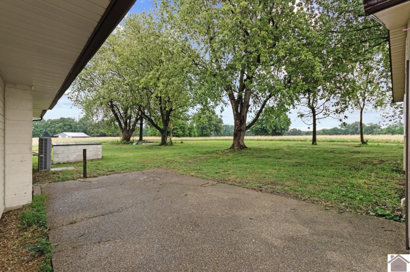 12237 hwy 62, Cunningham, KY 42035 Listing Photo  24