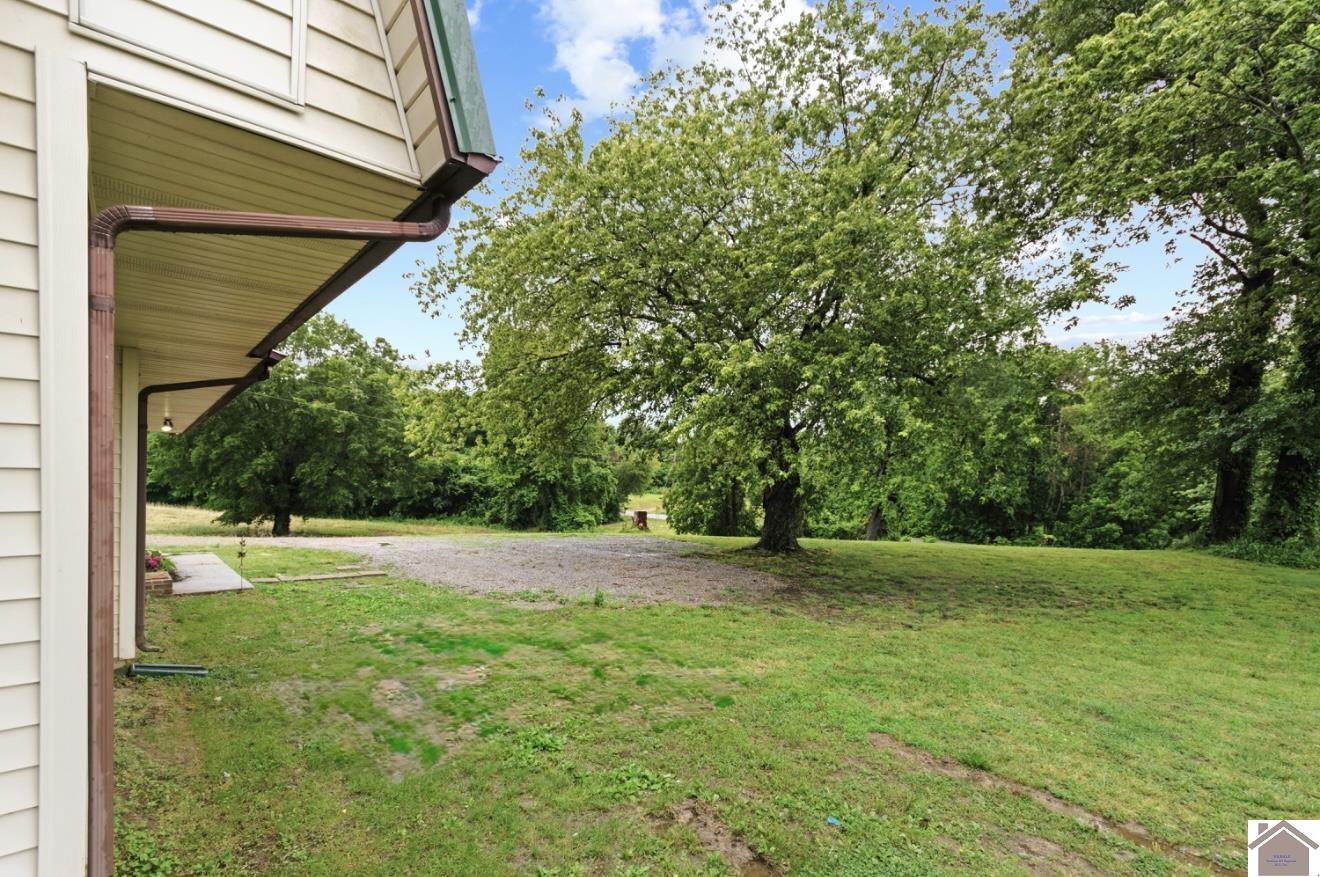 12237 hwy 62, Cunningham, KY 42035 Listing Photo  4