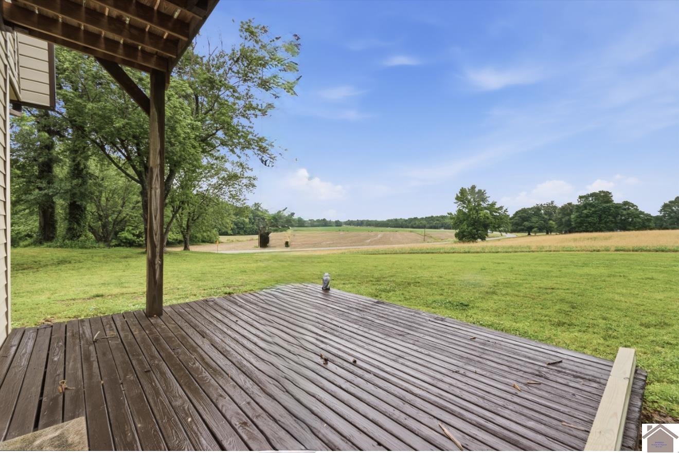 12237 hwy 62, Cunningham, KY 42035 Listing Photo  5