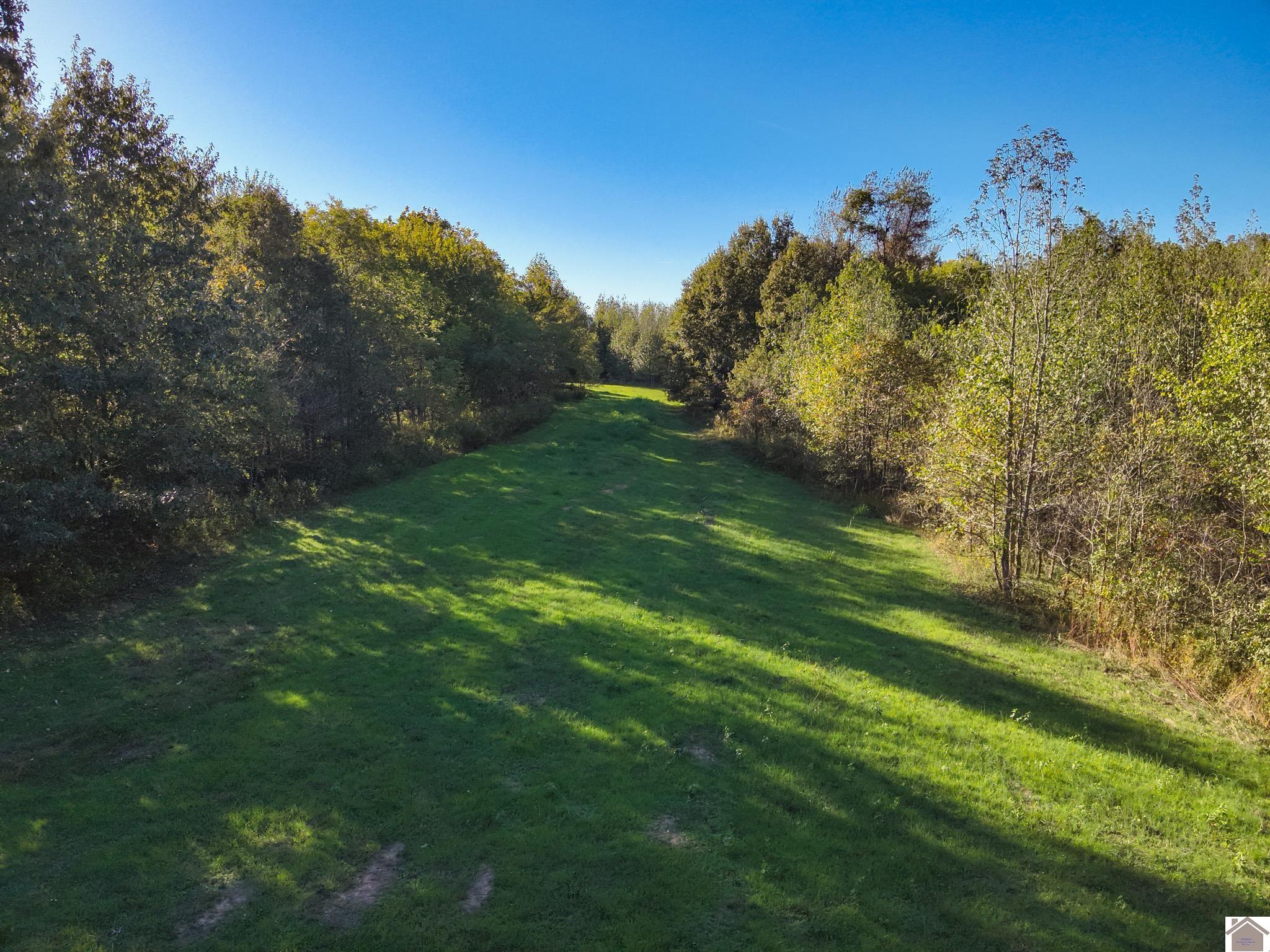 115 County Road 1039, Bardwell, KY 42023 Listing Photo  1