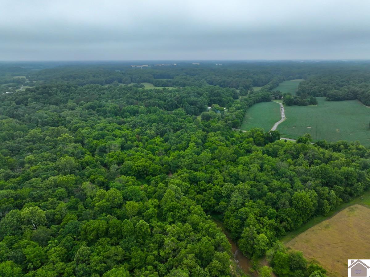000 State Line Road East, Hazel, KY 42049 Listing Photo  1