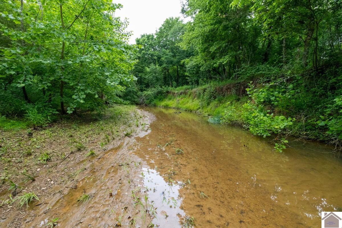 000 State Line Road East, Hazel, KY 42049 Listing Photo  2