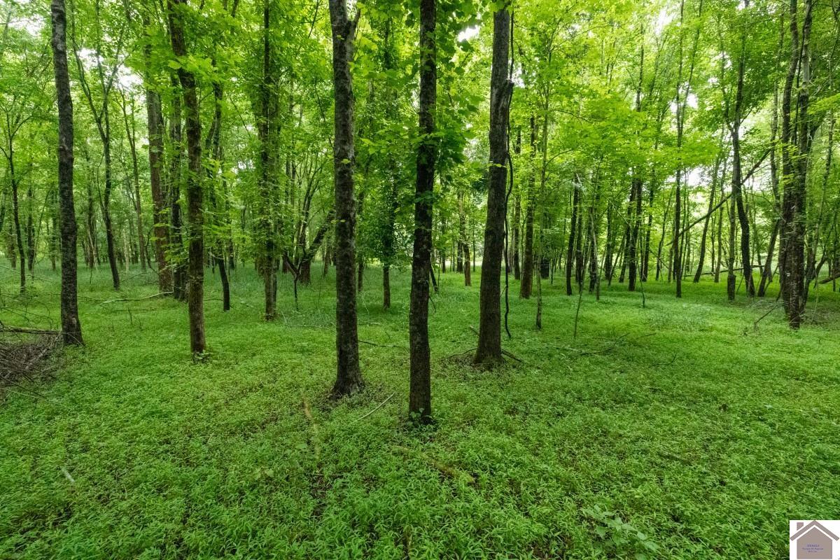 000 State Line Road East, Hazel, KY 42049 Listing Photo  11
