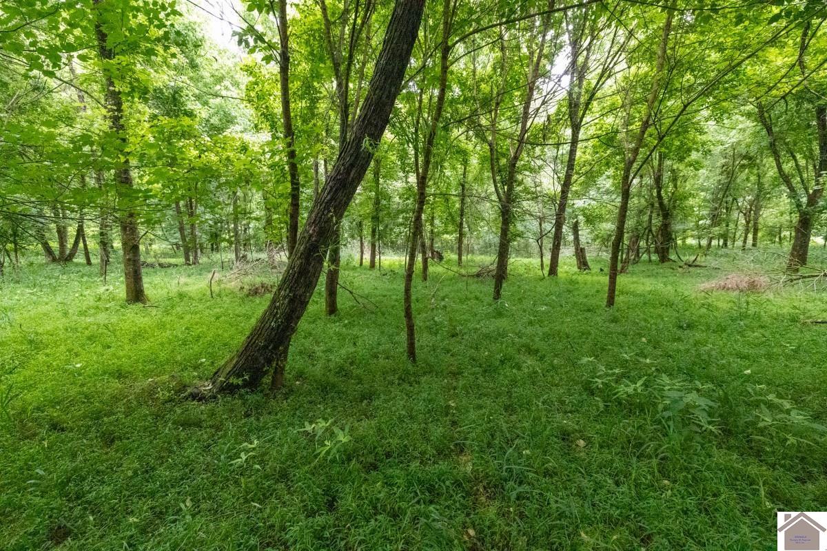 000 State Line Road East, Hazel, KY 42049 Listing Photo  12