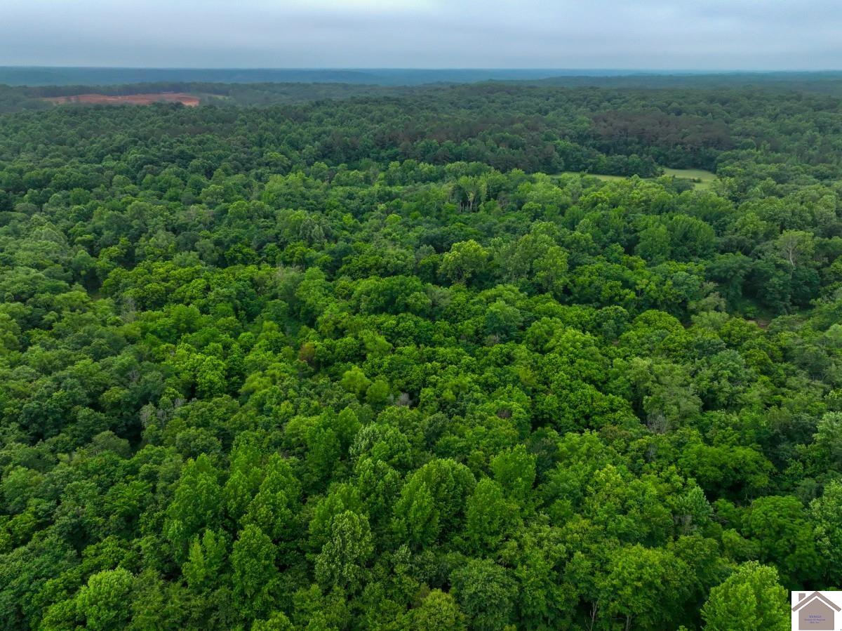 000 State Line Road East, Hazel, KY 42049 Listing Photo  14