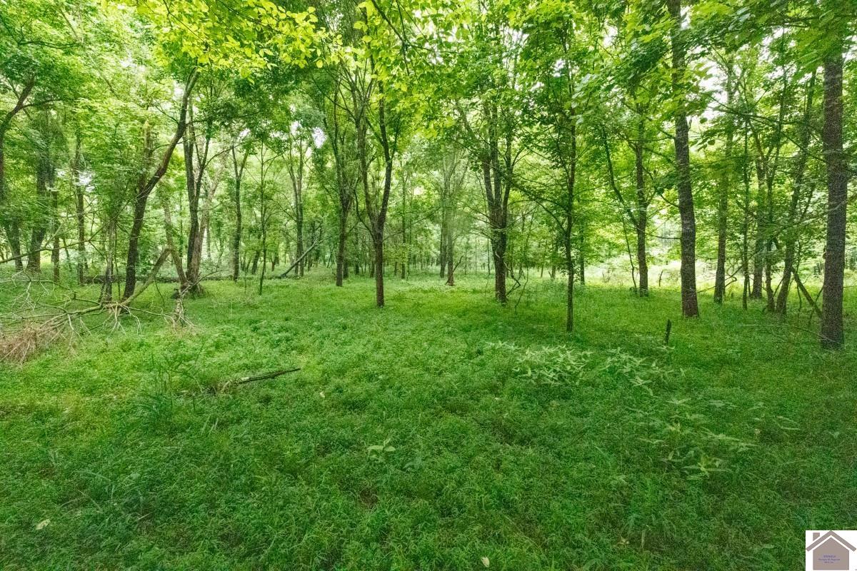 000 State Line Road East, Hazel, KY 42049 Listing Photo  15