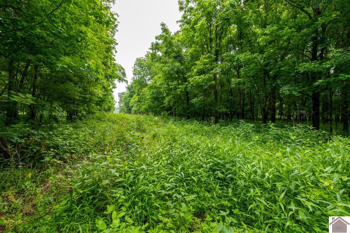 000 State Line Road East, Hazel, KY 42049 Listing Photo  16