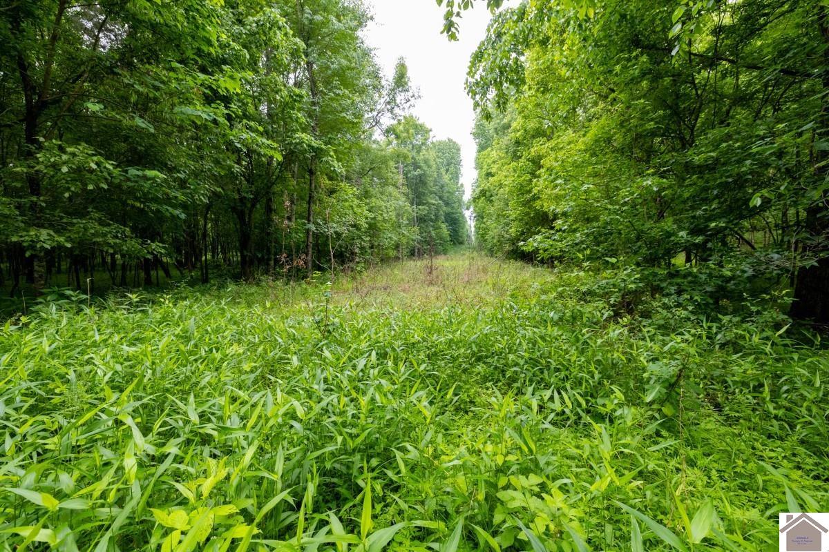 000 State Line Road East, Hazel, KY 42049 Listing Photo  17