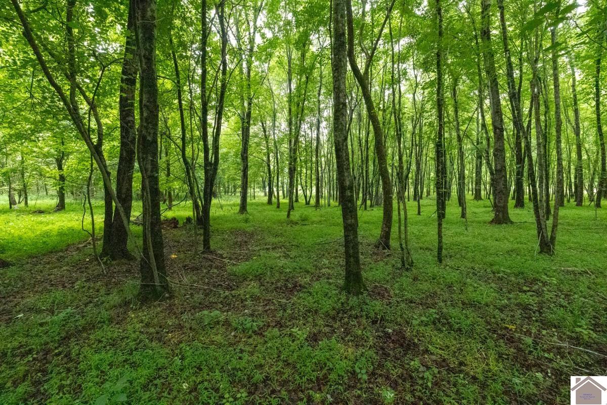 000 State Line Road East, Hazel, KY 42049 Listing Photo  18