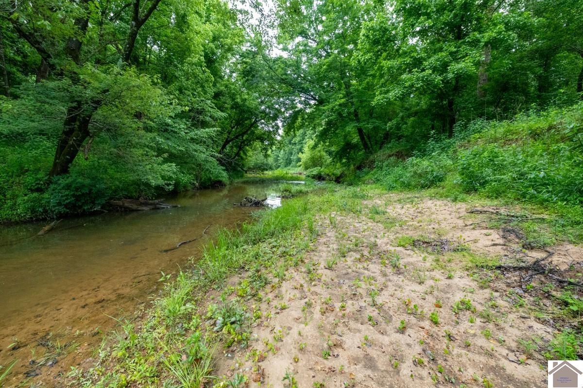 000 State Line Road East, Hazel, KY 42049 Listing Photo  20