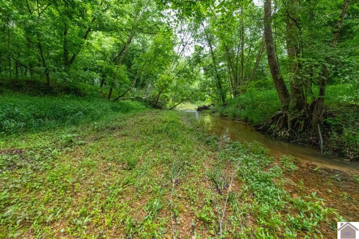 000 State Line Road East, Hazel, KY 42049 Listing Photo  21