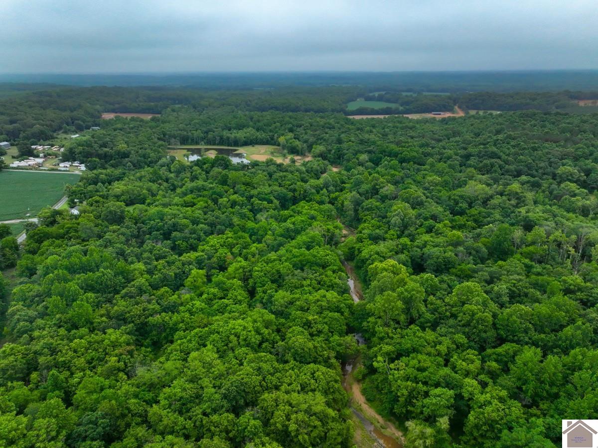 000 State Line Road East, Hazel, KY 42049 Listing Photo  22
