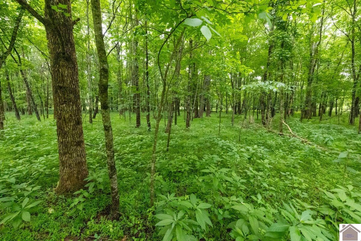 000 State Line Road East, Hazel, KY 42049 Listing Photo  23