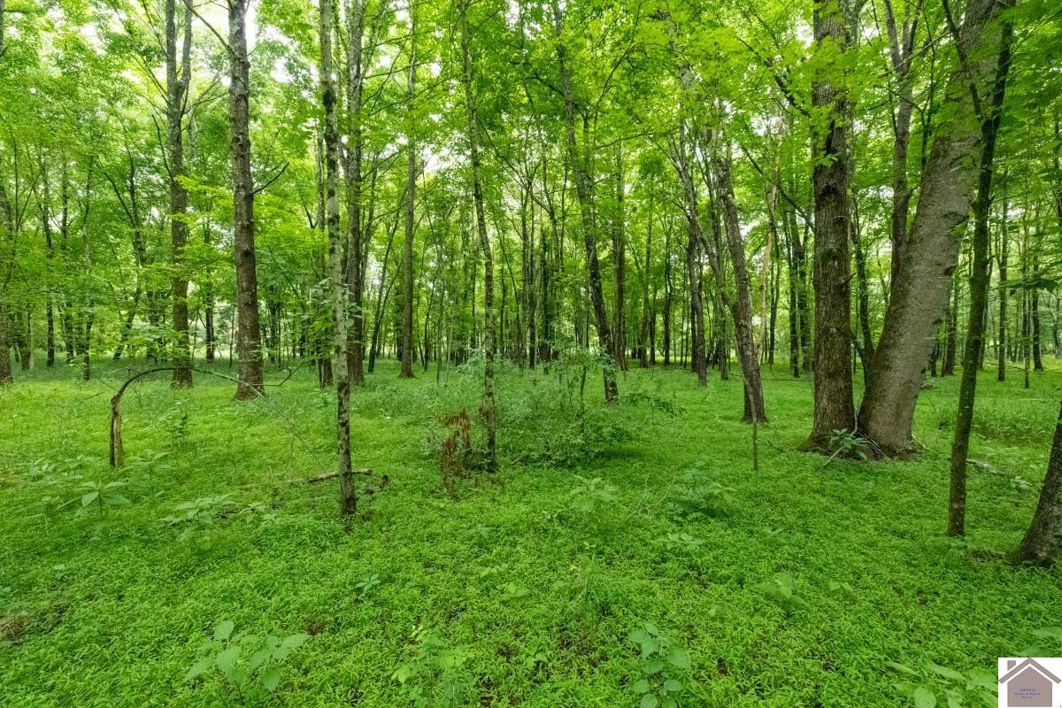 000 State Line Road East, Hazel, KY 42049 Listing Photo  24