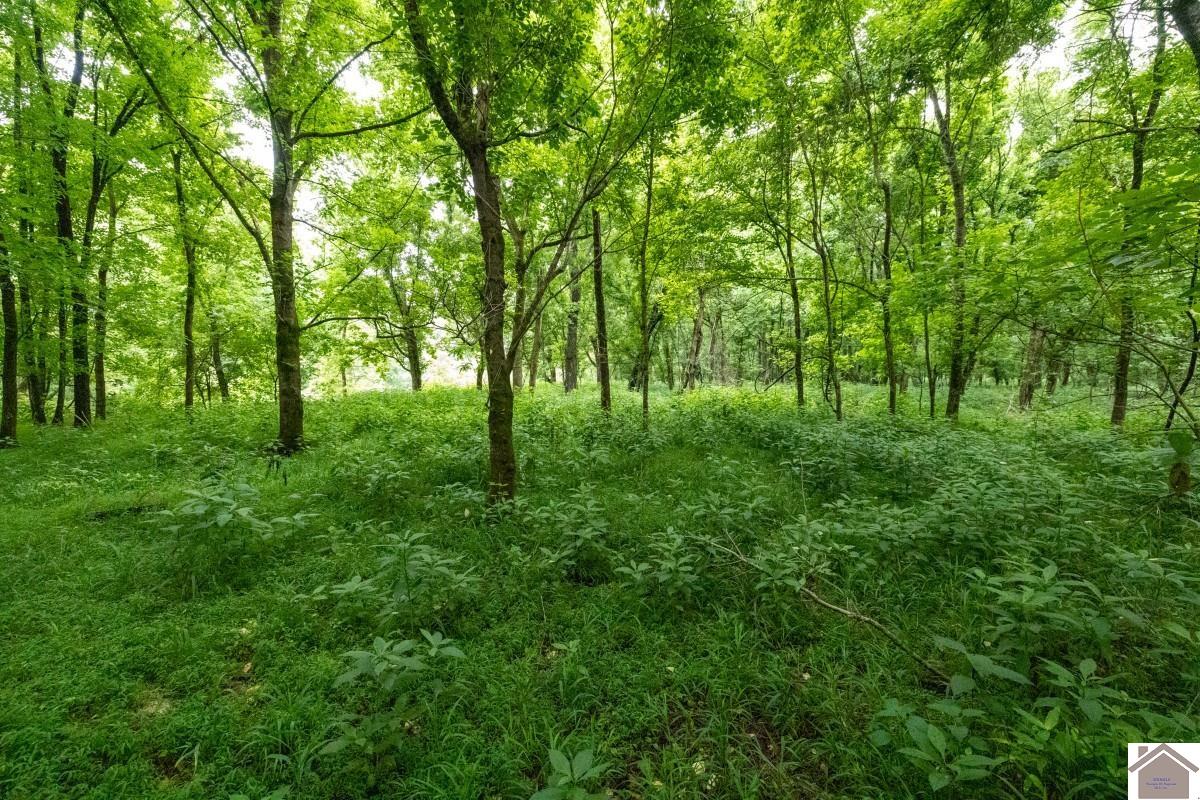 000 State Line Road East, Hazel, KY 42049 Listing Photo  25