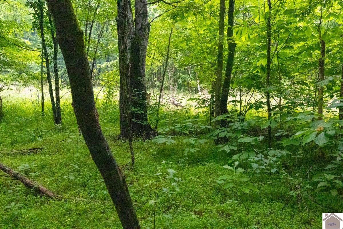 000 State Line Road East, Hazel, KY 42049 Listing Photo  26