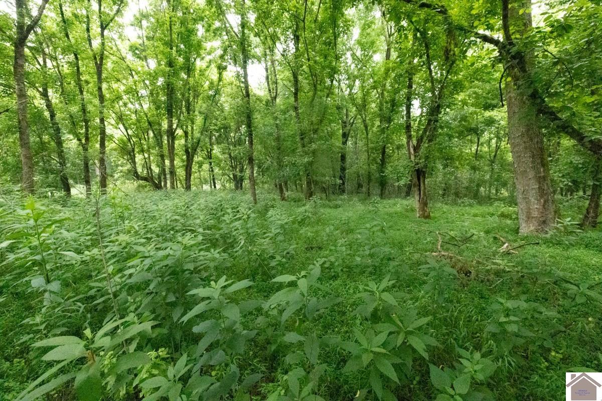 000 State Line Road East, Hazel, KY 42049 Listing Photo  27