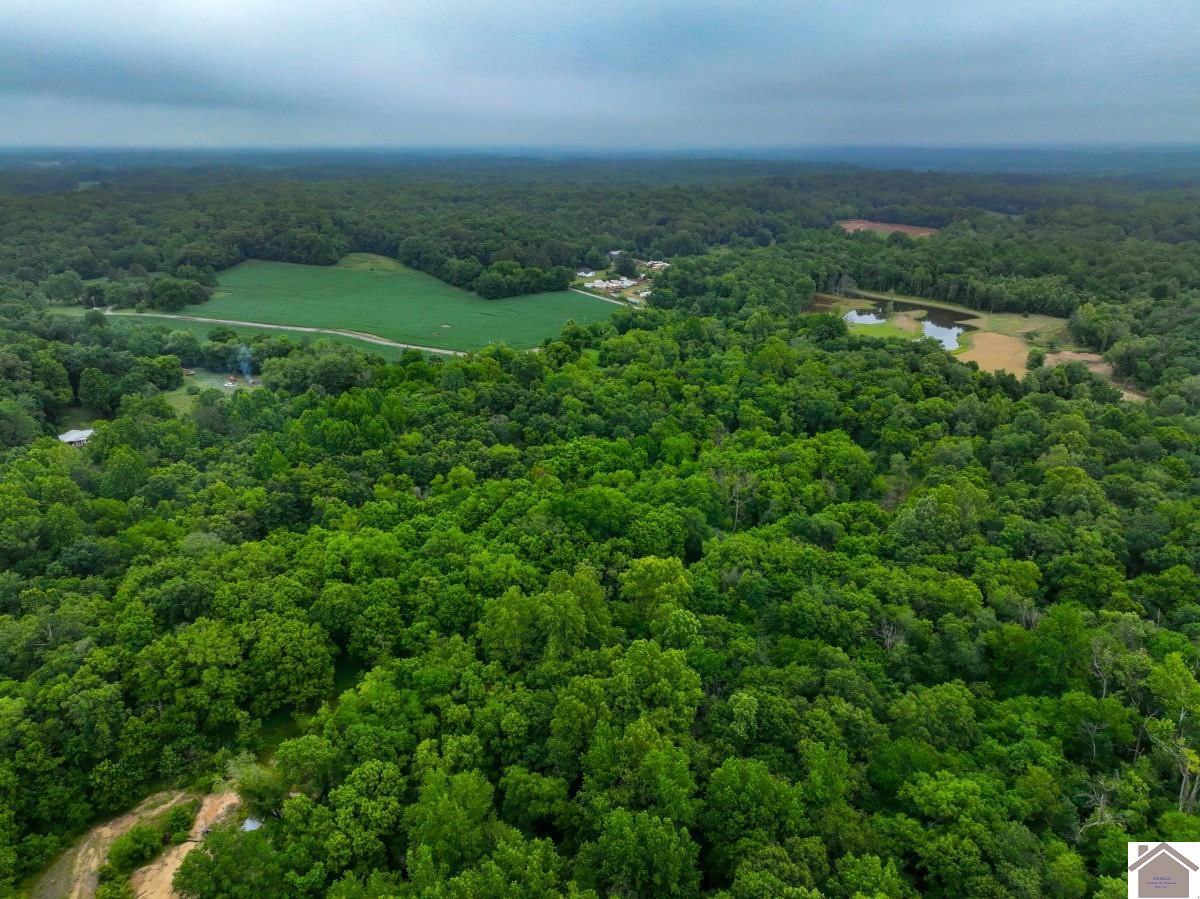 000 State Line Road East, Hazel, KY 42049 Listing Photo  28