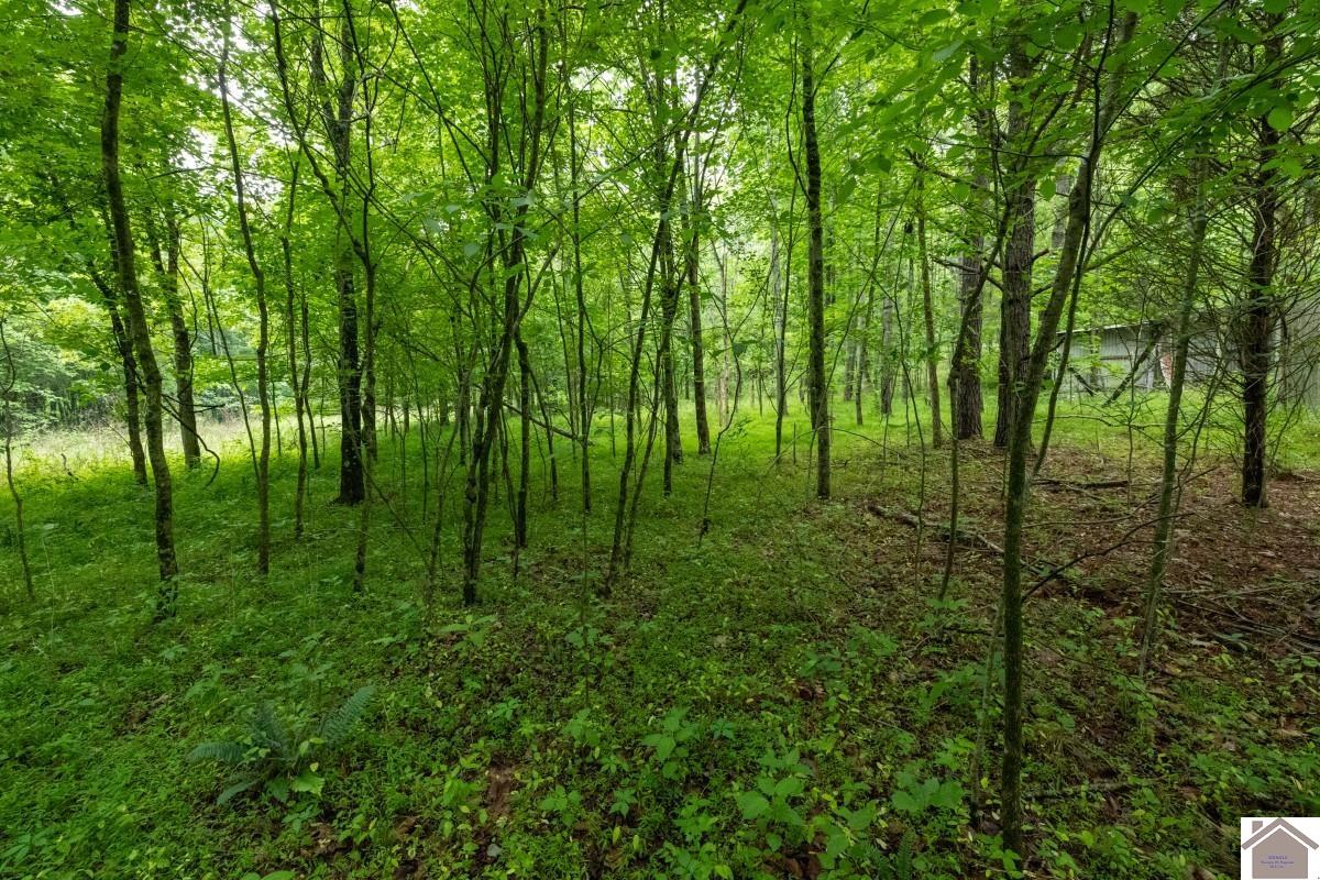 000 State Line Road East, Hazel, KY 42049 Listing Photo  29