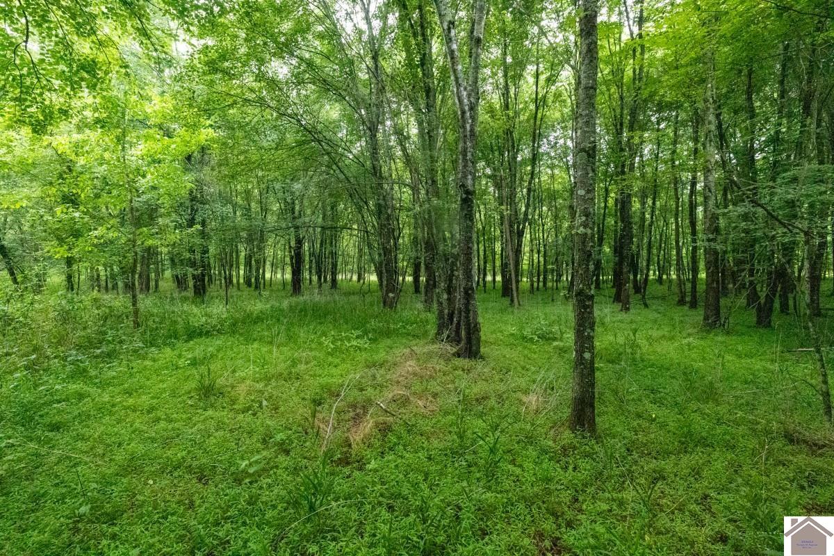 000 State Line Road East, Hazel, KY 42049 Listing Photo  30
