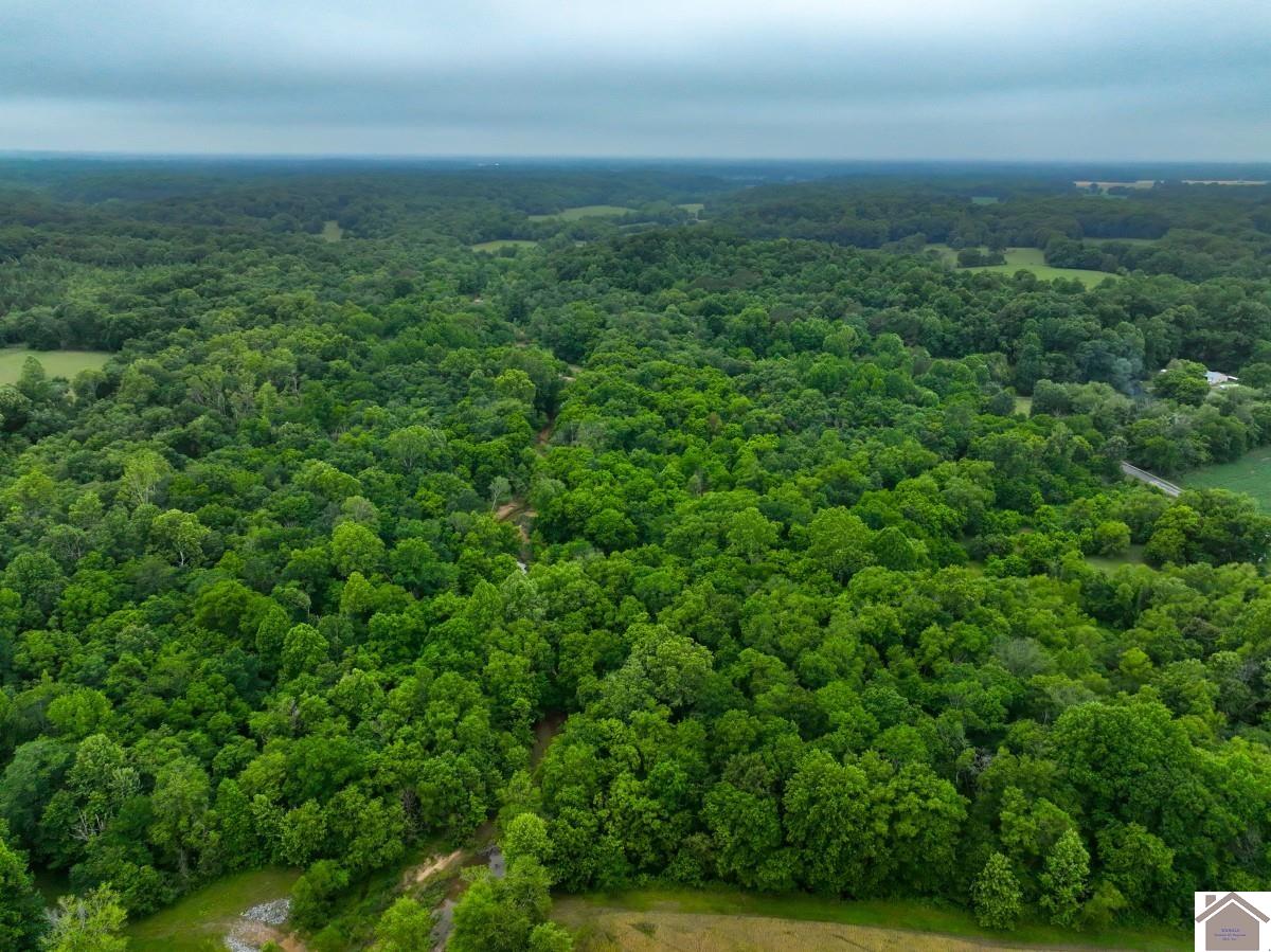 000 State Line Road East, Hazel, KY 42049 Listing Photo  4