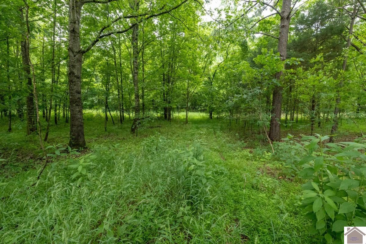 000 State Line Road East, Hazel, KY 42049 Listing Photo  31