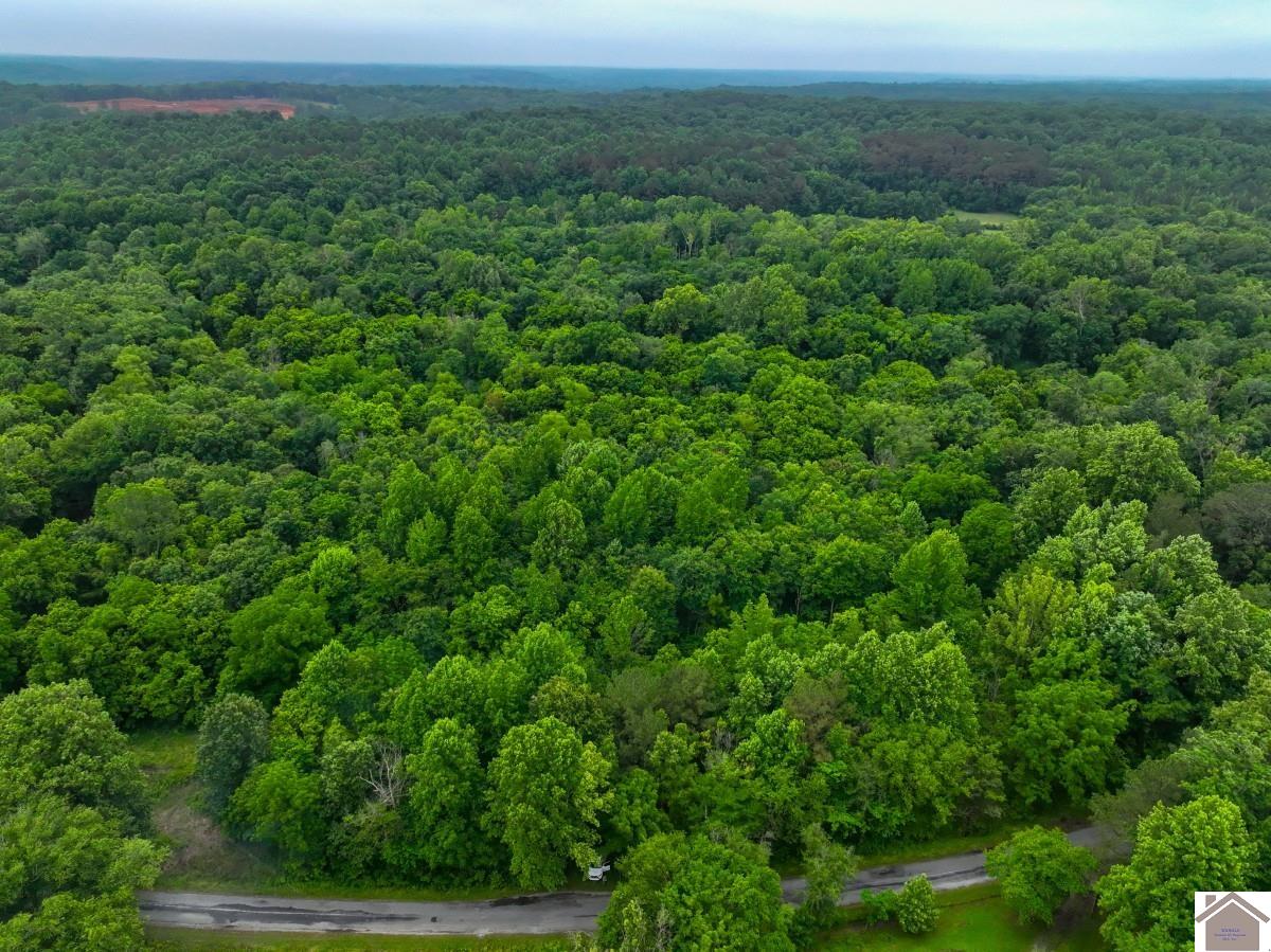 000 State Line Road East, Hazel, KY 42049 Listing Photo  32