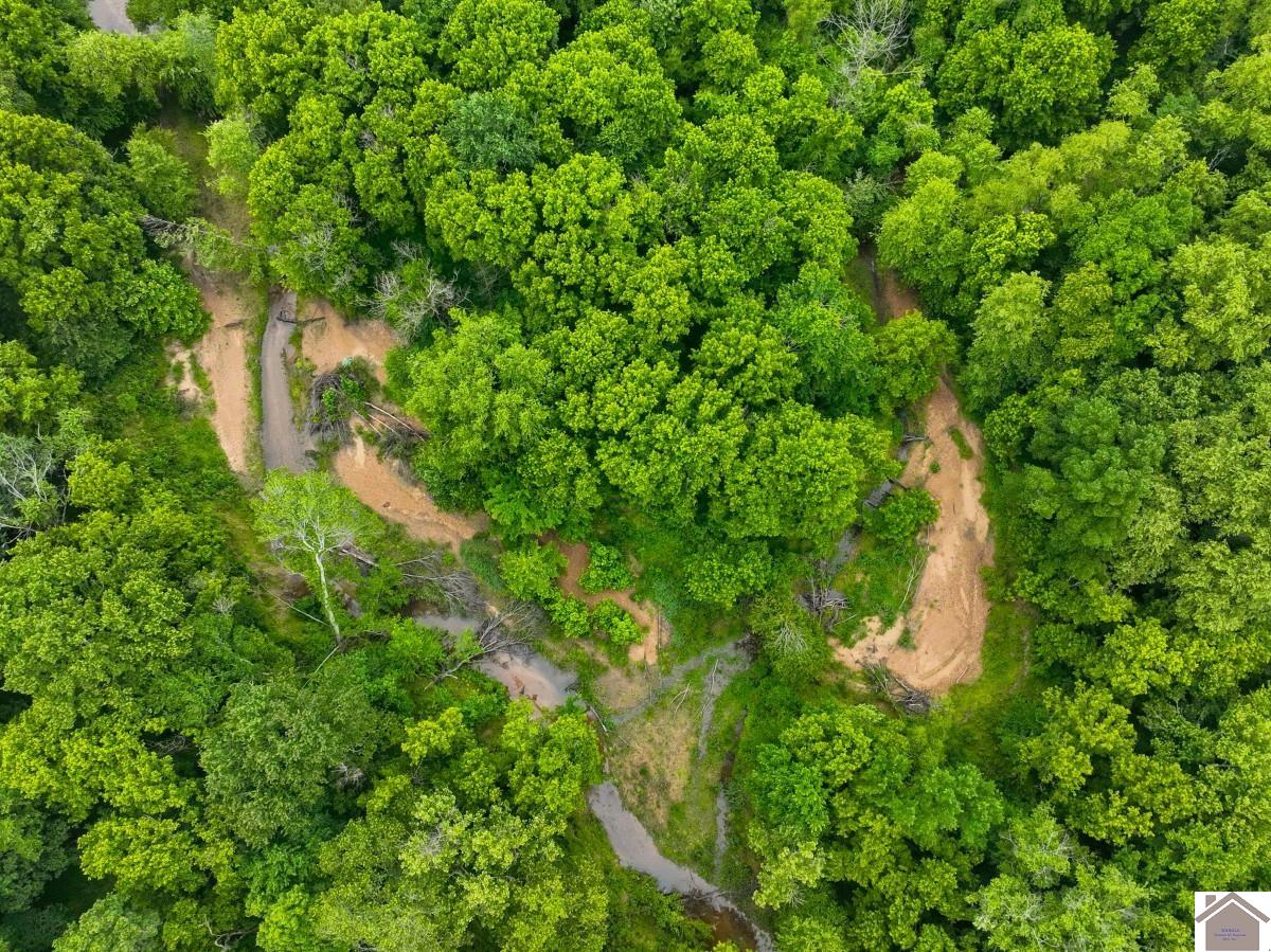 000 State Line Road East, Hazel, KY 42049 Listing Photo  5