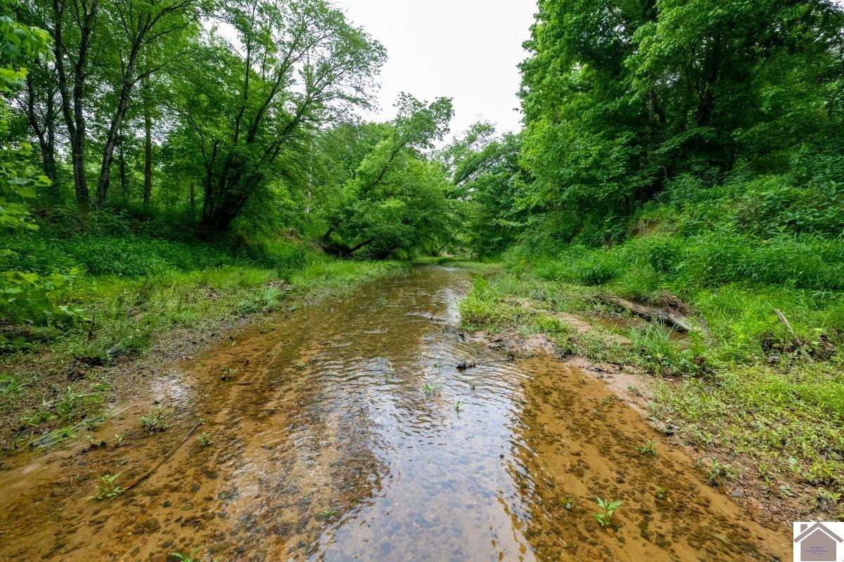 000 State Line Road East, Hazel, KY 42049 Listing Photo  6