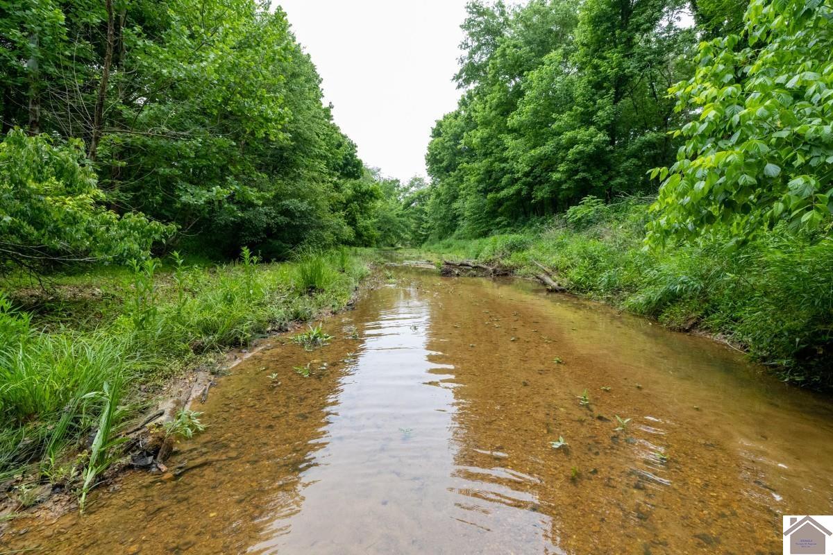 000 State Line Road East, Hazel, KY 42049 Listing Photo  7